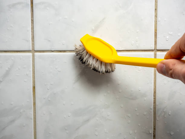 Best Black Mold Removal  in Selden, NY